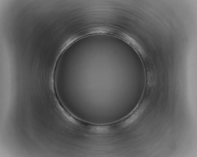 X0000111360802200907101229