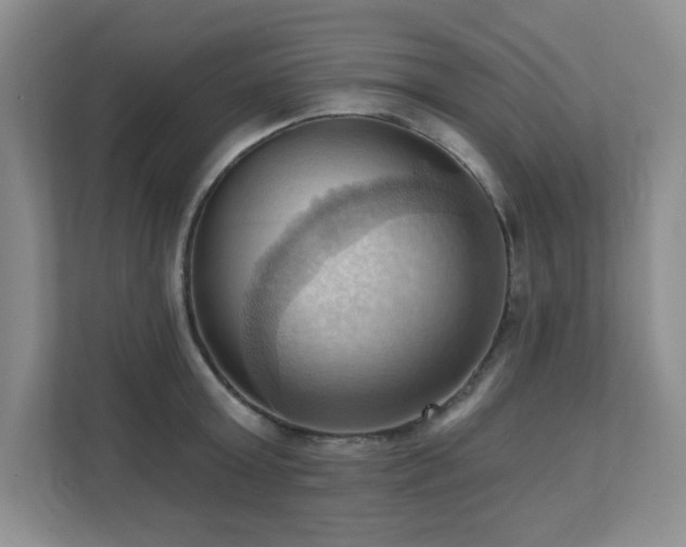 X0000111360803200907101229