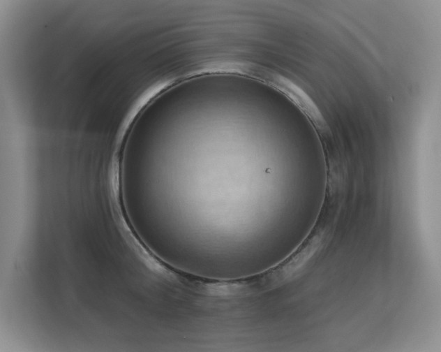 X0000111360804200907101229