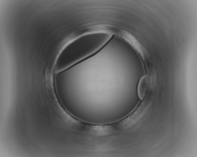 X0000111360805200907101229
