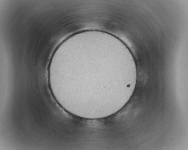 X0000111360807200907101229