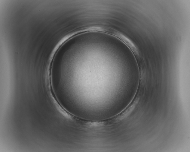 X0000111360808200907101229