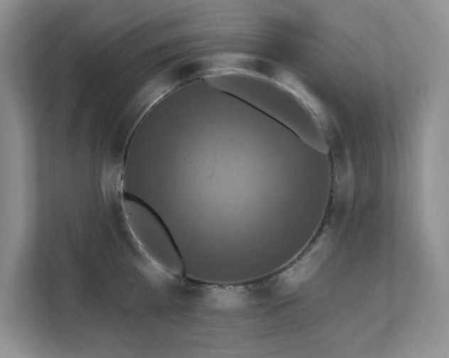 X0000111360809200907101229