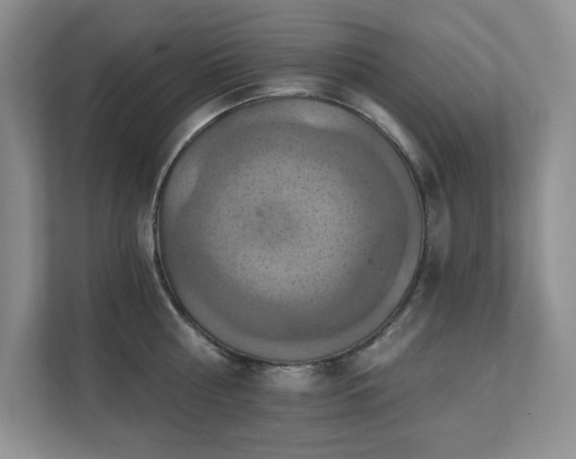 X0000111360810200907101229