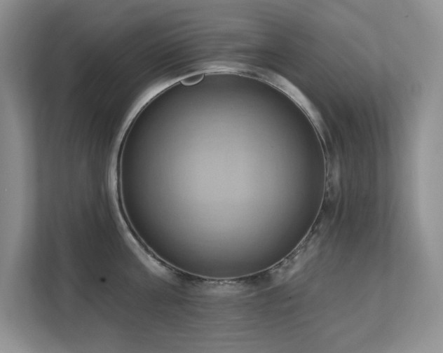 X0000111360811200907101229