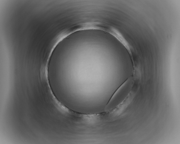 X0000111360813200907101229