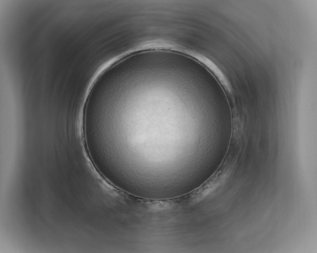 X0000111360815200907101229