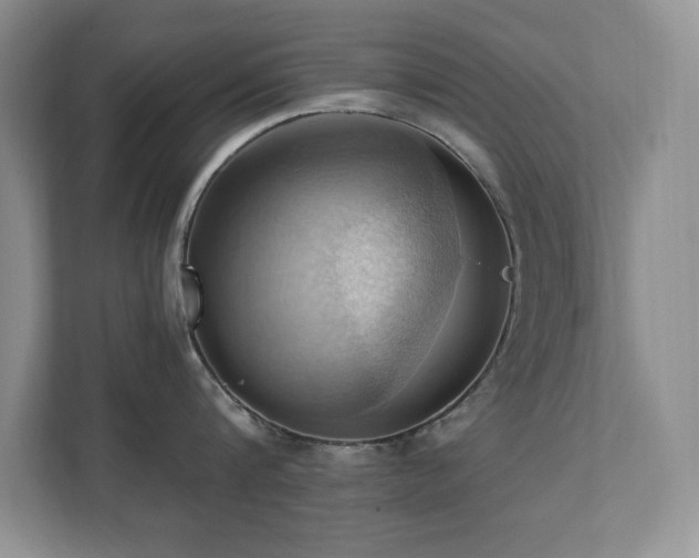 X0000111360816200907101229