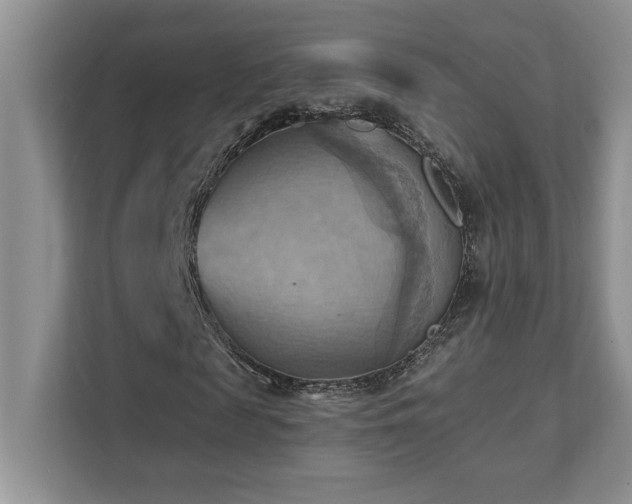 X0000111360817200907101228