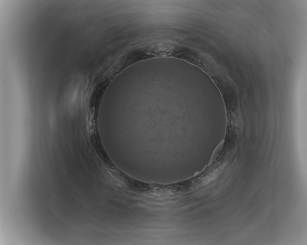 X0000111360818200907101228