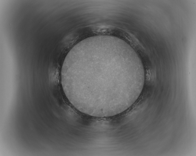 X0000111360820200907101228