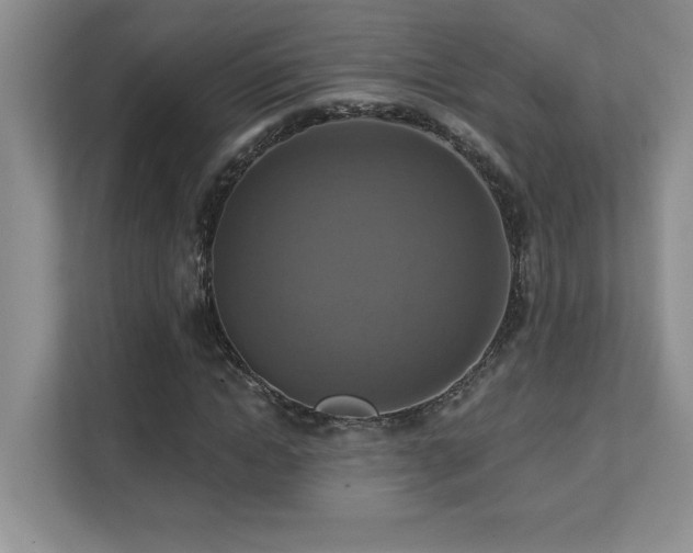 X0000111360822200907101228