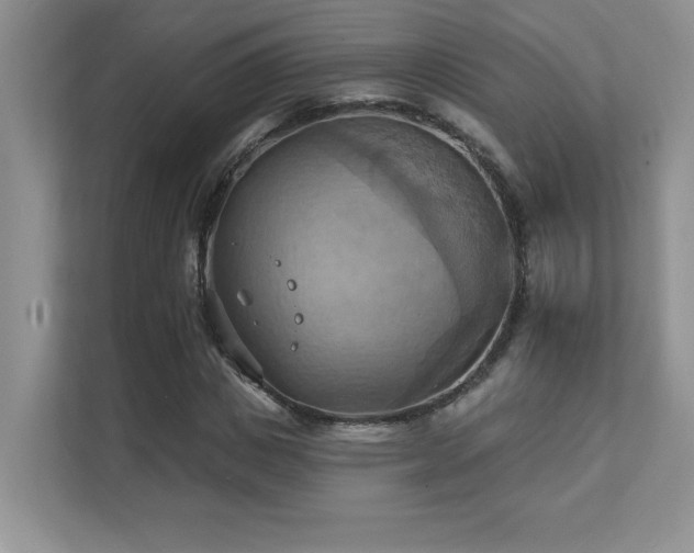 X0000111360825200907101228