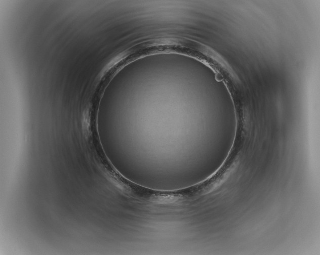 X0000111360826200907101228