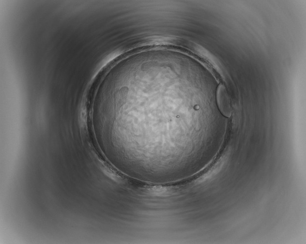 X0000111360827200907101229