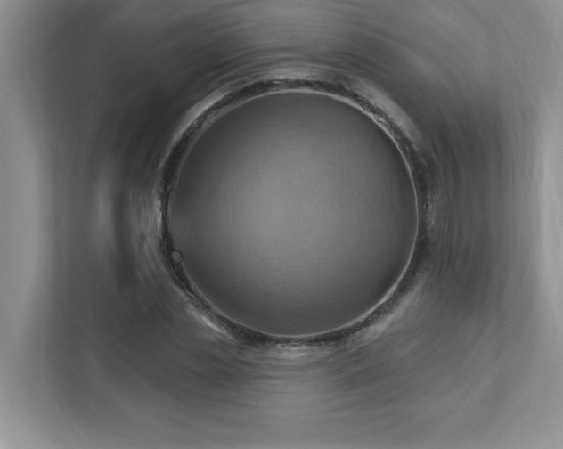 X0000111360829200907101229