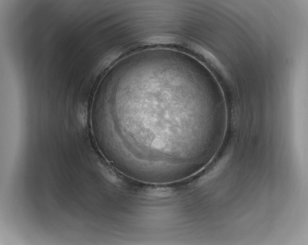 X0000111360833200907101229
