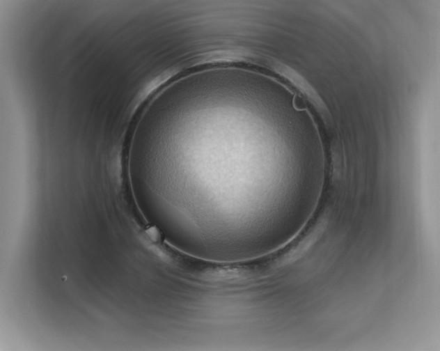 X0000111360834200907101229
