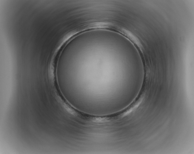 X0000111360835200907101229