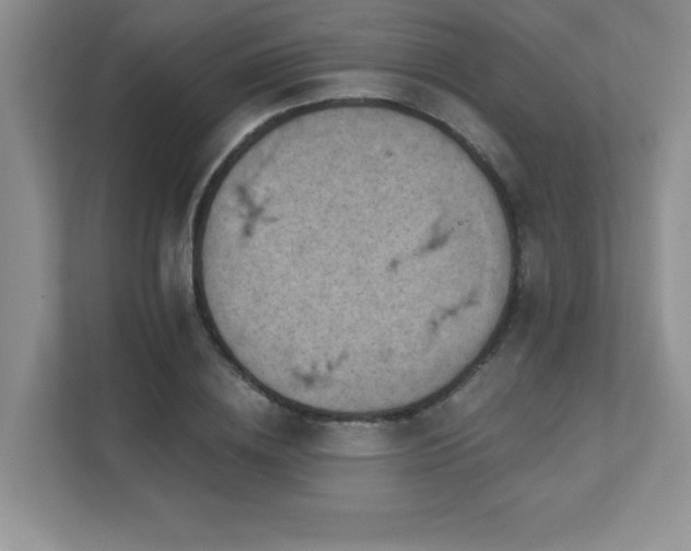 X0000111360836200907101229