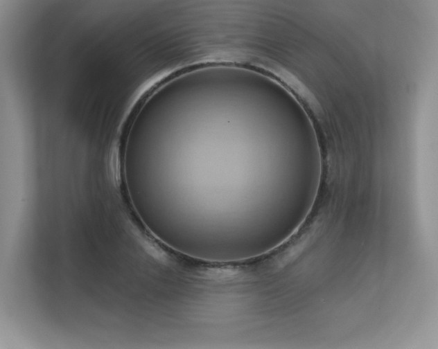 X0000111360838200907101229