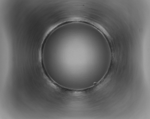X0000111360839200907101229