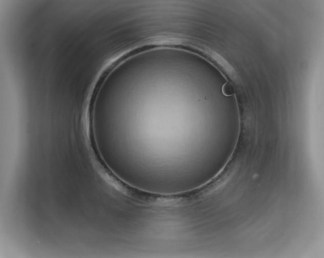 X0000111360840200907101229