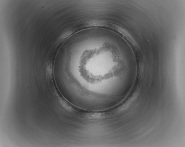 X0000111360841200907101229