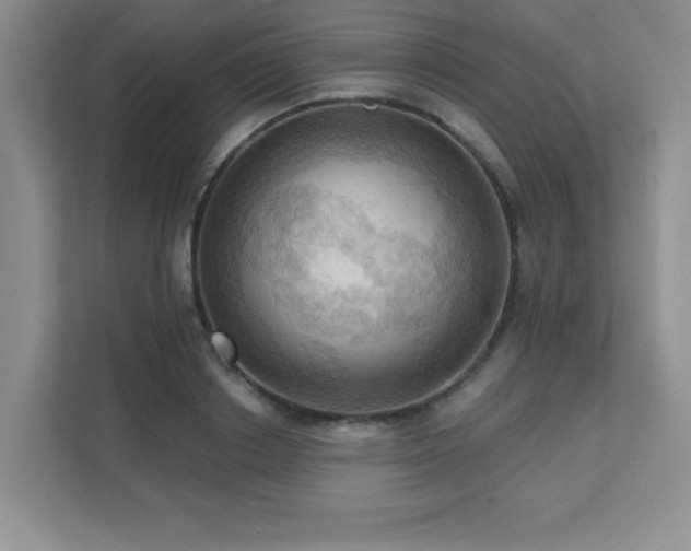 X0000111360842200907101229
