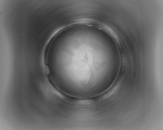 X0000111360843200907101229