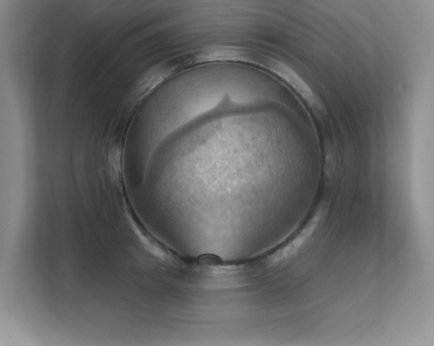 X0000111360849200907101229