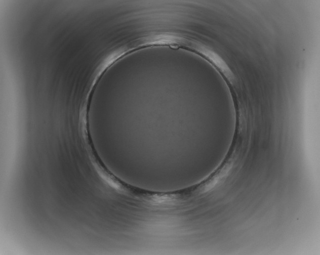 X0000111360850200907101229