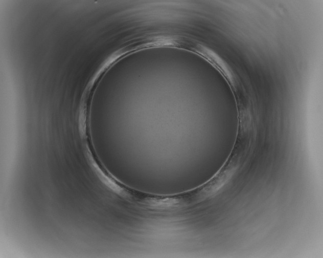X0000111360851200907101229