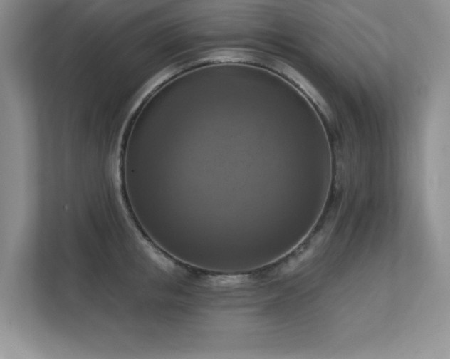 X0000111360853200907101229