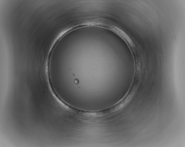 X0000111360855200907101229
