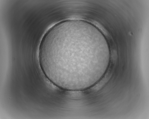 X0000111360856200907101229