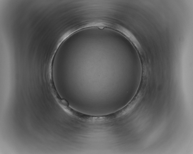 X0000111360858200907101229