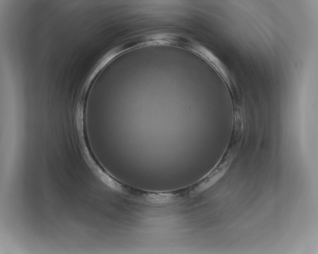 X0000111360859200907101229