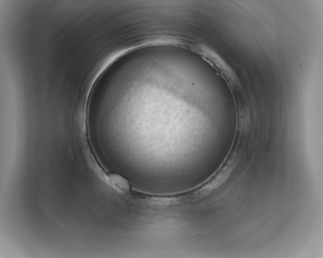 X0000111360860200907101229