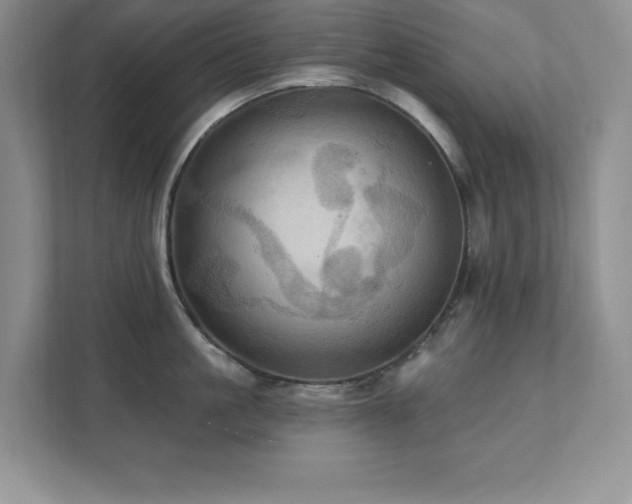 X0000111360861200907101229