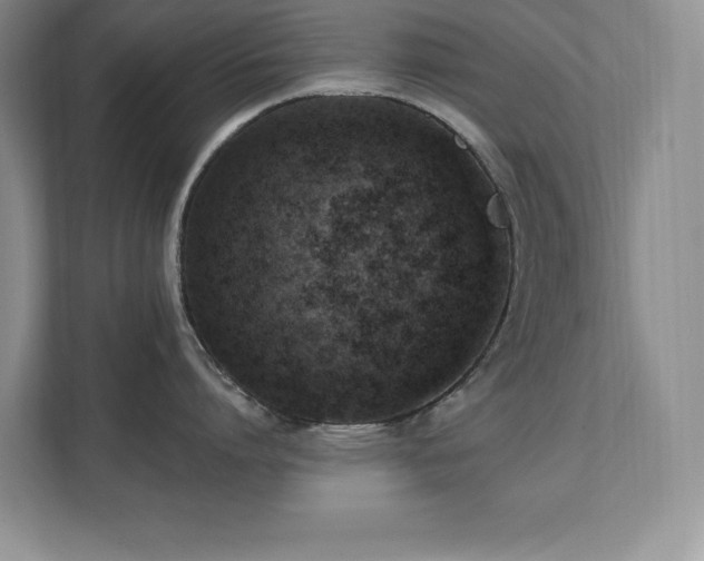 X0000111360864200907101229