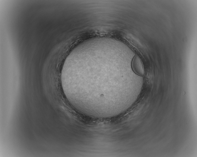 X0000111360865200907101228