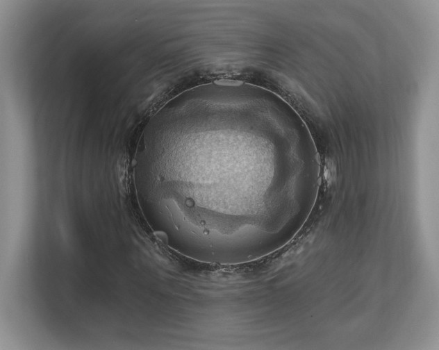 X0000111360867200907101228