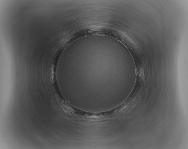 X0000111360868200907101228