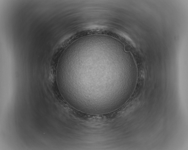 X0000111360869200907101228