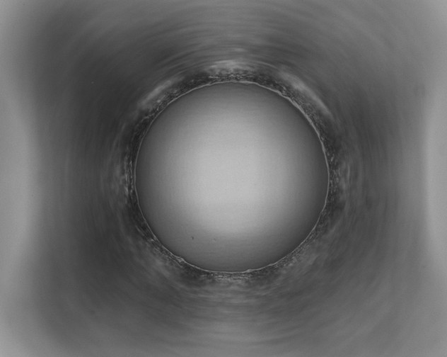 X0000111360870200907101228