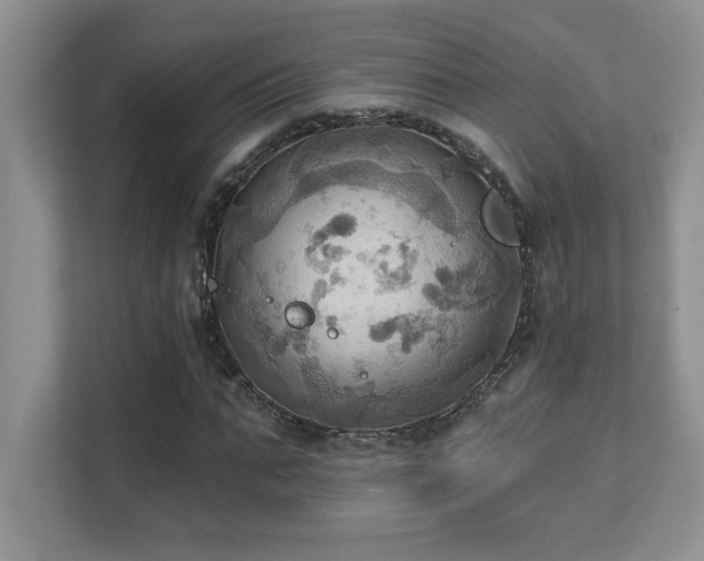 X0000111360871200907101228