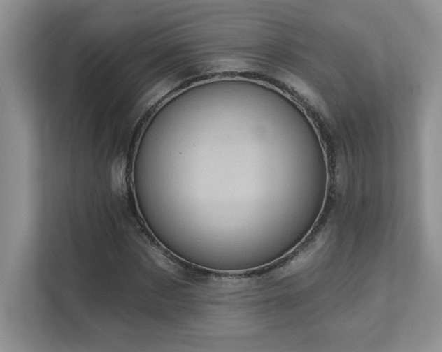 X0000111360873200907101228