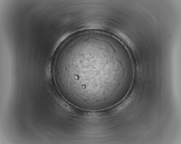 X0000111360875200907101228