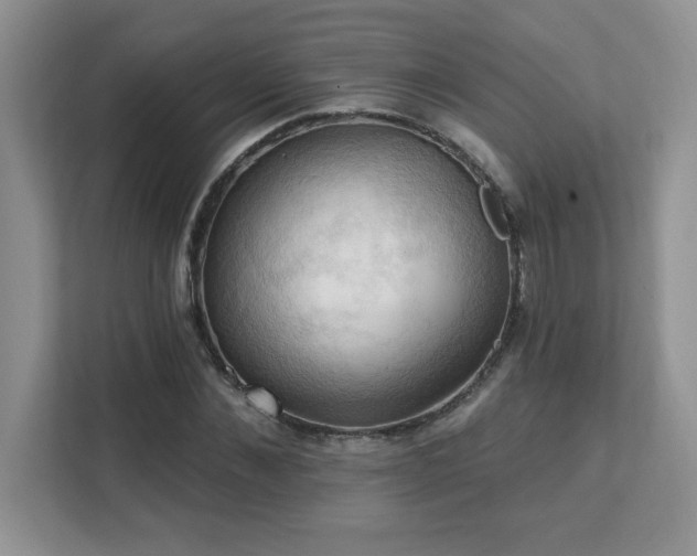 X0000111360876200907101228